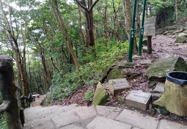 深圳梧桐山有多高