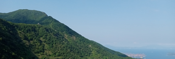 深圳梧桐山有多高