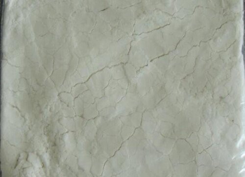 蟹爪兰夏季养护中如何预防蚧壳虫