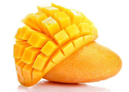 水仙芒什么时候成熟