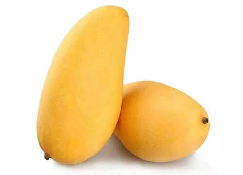 水仙芒什么时候成熟