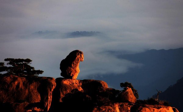 黄山的奇石有哪些叫什么名字