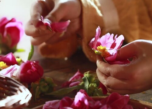 芍药一年开几次花