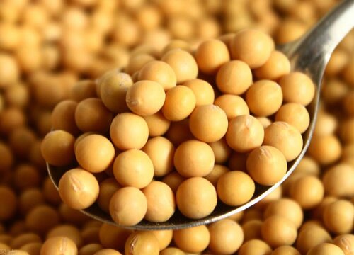 2023年适合种什么农作物前景最好