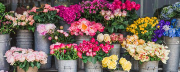 什么花束适合送长辈女儿