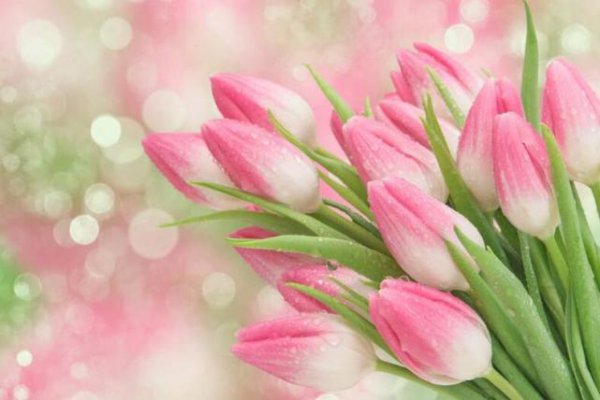 到什么程度双鱼男才会告白