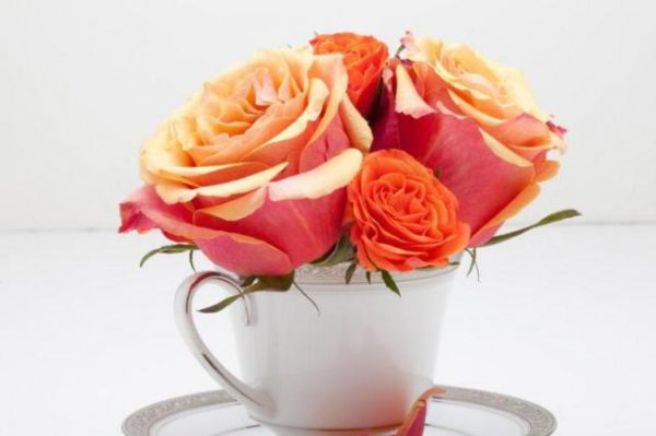 到什么程度双鱼男才会告白