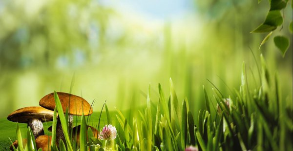 天蝎男和白羊女适合在一起吗