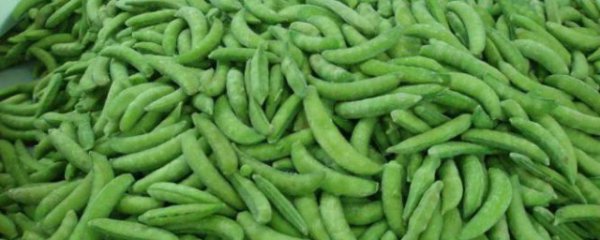 甜豆怎么样才算是煮熟了