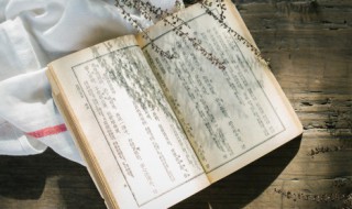 重阳节有什么诗 有什么诗是描写重阳节的