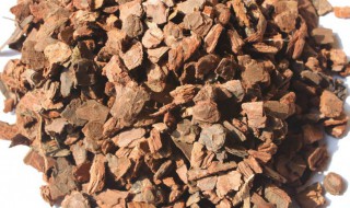 怎样判断松树皮腐熟了 如何判断松树皮腐熟了