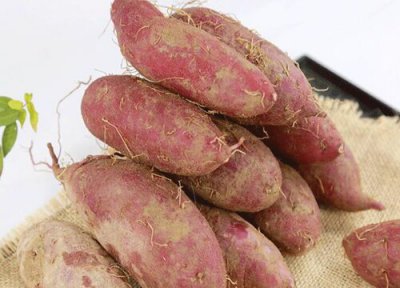 番薯成熟时间 番薯什么时候成熟