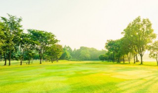 新疆的美景有哪些 新疆的美景都有哪些