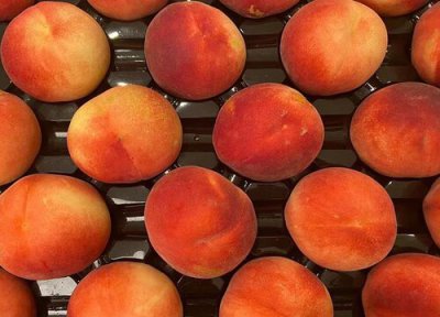 油桃可以和苹果一起吃吗 油桃不能跟什么水果一起吃