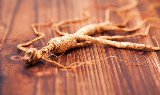 人参怎么鉴别真假 人参如何鉴别真假
