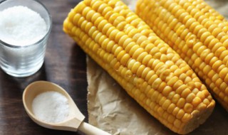 西安水果玉米如何保鲜储存 水果玉米怎样储藏能保持新鲜