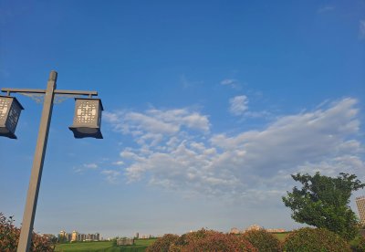 教育的本质到底是什么 从四个维度去理解教育的本质