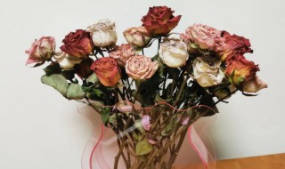 卧室可以放干花吗 卧室能放干花吗