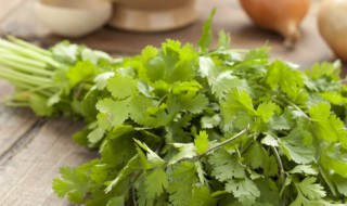 香菜适合什么地方种植 香菜适合种在什么地方