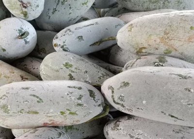 冬瓜的储存方法有哪些 冬瓜如何保存能过冬