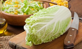 白菜怎么做才好吃 白菜的烹饪方法