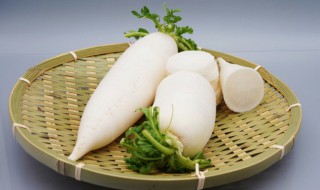 白萝卜应该如何储存保鲜 白萝卜储存保鲜方法介绍