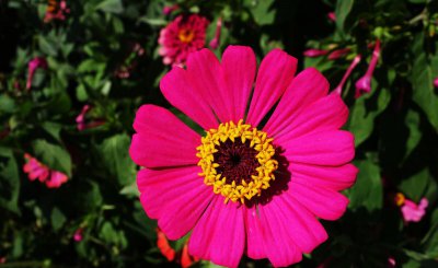 不爱了的婚姻还有必要继续吗 婚姻没有爱还要维持下去吗