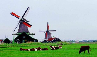 荷兰被称为什么之国 荷兰有哪些别称呢