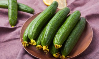 孕妇能生吃黄瓜吗 孕妇生吃黄瓜好不好