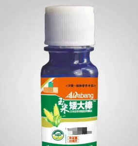 玉米几片叶打控旺药 玉米6叶、12个叶能打控旺剂吗
