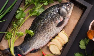 鲫鱼嘌呤高吗 鲫鱼含嘌呤量怎么样