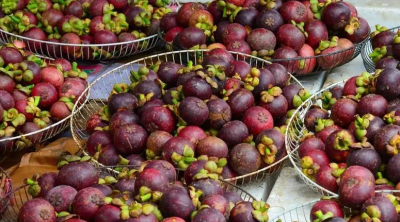 山竹为什么这么贵 山竹价格贵的五个原因分别是什么