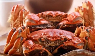 大闸蟹最佳保存方法 大闸蟹正确的保存方法