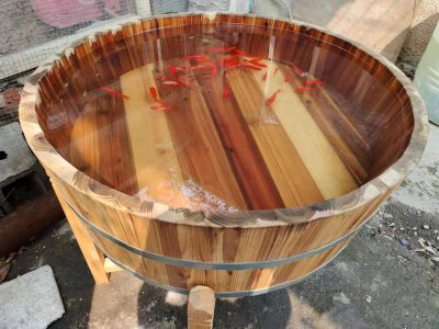 草金鱼真的养不死吗 家里鱼缸建议养草金鱼吗