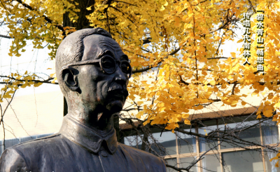 南京林业大学是985或者211吗 南京林业大学什么档次