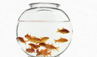 鱼缸禁忌摆放方向 鱼缸如何摆放