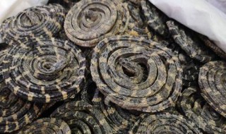 白花蛇的功效与禁忌 白花蛇的药性及功效