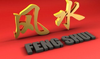 镇宅玄武位置有什么讲究 镇宅玄武位置有什么风水讲究