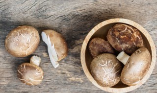 香菇能放冰箱吗 香菇可以放冰箱吗