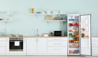 东南位放什么可聚财 东南角放什么旺财