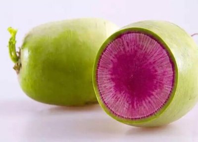 心里美萝卜种植温度 心里美萝卜种植时间和方法