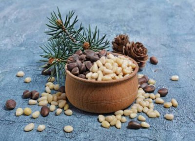 松子的功效与作用 松子的功效与作用及食用方法