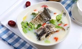 做鱼汤用什么鱼好 做鱼汤用哪种鱼好