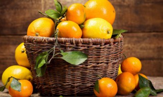 常见的橙子品种 橙子有多少种品种
