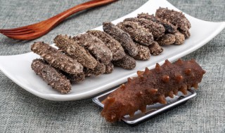 海参能和菠菜一起吃吗 海参可以和菠菜一起吃吗