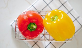 大棚甜椒种植方法 大棚菜椒种植技术