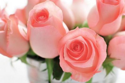 到什么程度双鱼男才会告白 十二星座什么时候才会表白