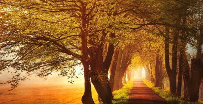 天蝎男和白羊女适合在一起吗 天蝎男和白羊女配对如何