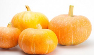 南瓜种子泡几天会发芽 南瓜种子泡多久会发芽