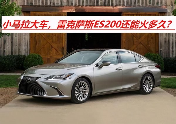 小马拉大车什么意思